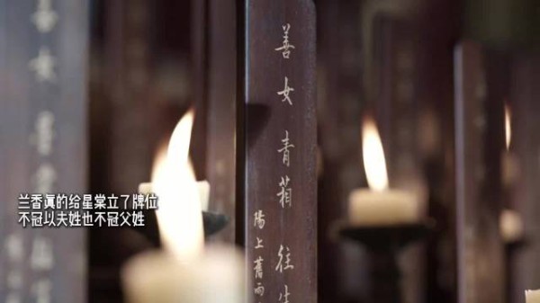 《兰香如故》最让人服气的是，连骡子都有记忆点…
