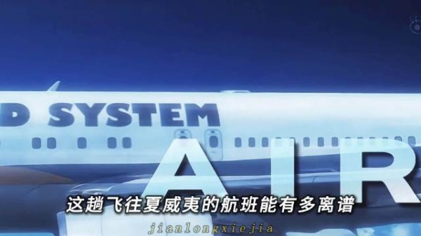你敢信？一飞机的冒牌货，结果竟阴差阳错救了一名乘客