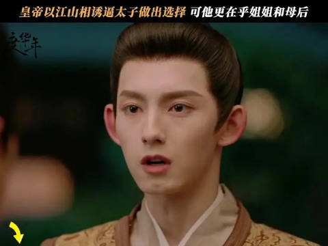 儿子被父亲逼着做选择!太子坚定的选择了母后和姐姐