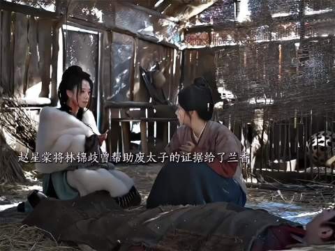 其实也能理解兰香最后烧掉了证据,她们家本就是废太子一队…