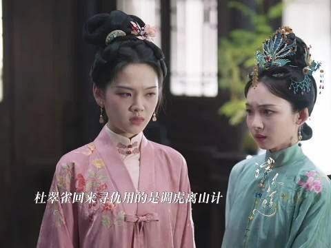 杜翠雀设局杀袁绍辉,兰香灯油局守林府