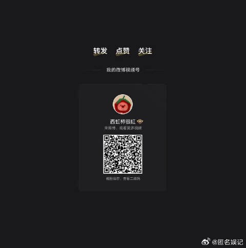 一路坚持走到现在,突然止步于此,这份难过真的很难假装不在意