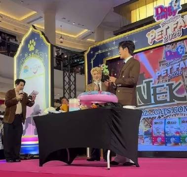 我真的要笑傻了,怎么会这么好笑