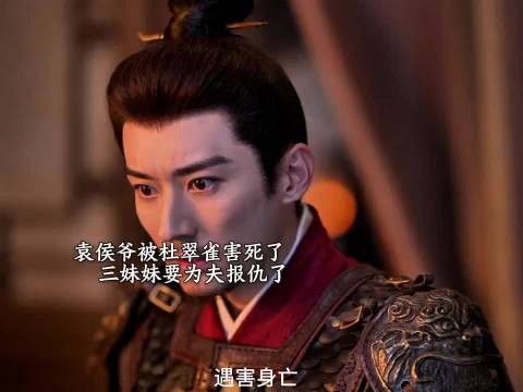 袁侯爷被杜翠雀害死 林锦岐痛心不已 林秀茹要为夫报仇