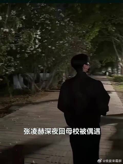 张凌赫回母校被学妹认出，一句“很久没人叫我学长了”引发共鸣