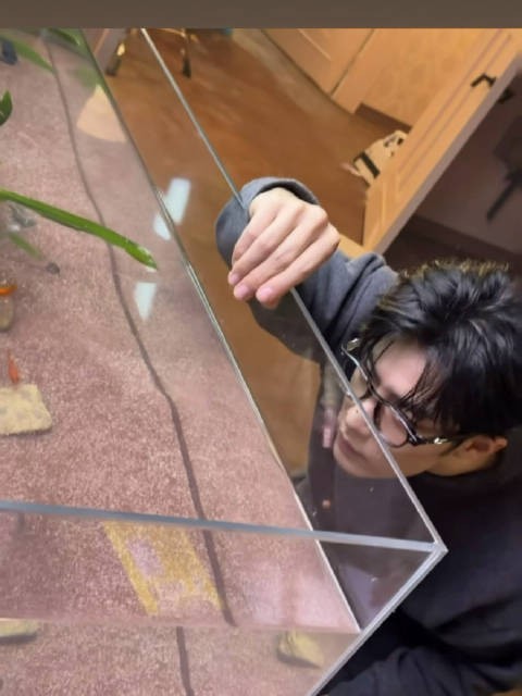 萌之，咋还发上限时动态了