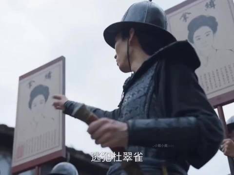 这段我也没懂杜翠雀在气什么