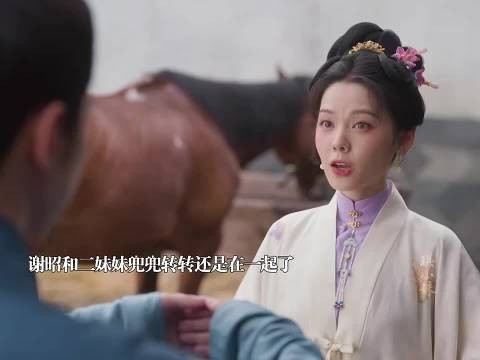 《兰香如故》 兜兜转转谢昭还是和二妹妹走到一起了