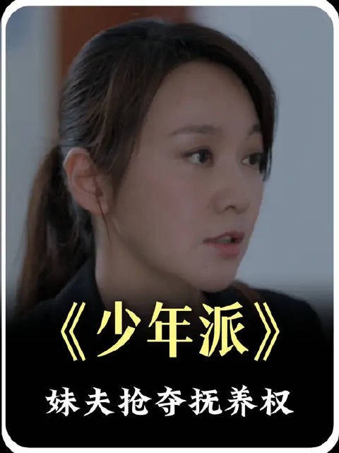 妹夫想要抢夺抚养权，姐姐帮理还是帮亲？