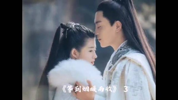 她刚与心爱之人定下终生行完夫妻之礼，怎料大婚之日却被设计上了和亲的花轿