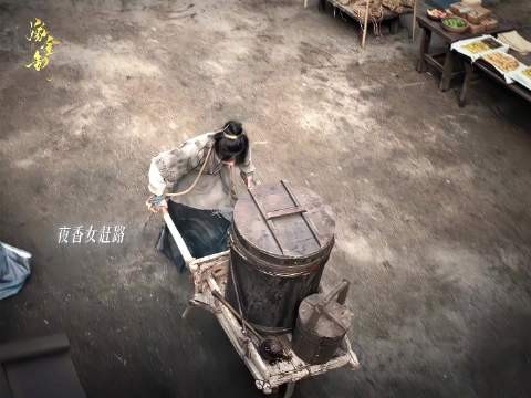相似面容两般人生，命运两端痛感各异
