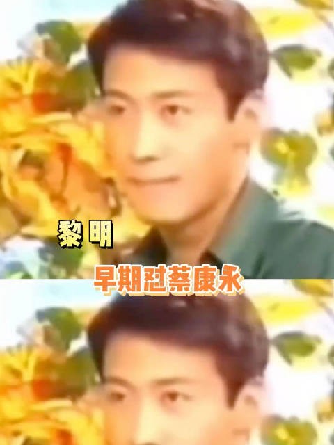 黎明早期也怼过蔡康永!鸭子!暗示对方是同X恋,好高招