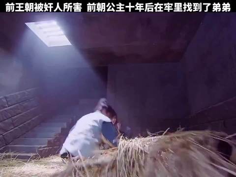 前王朝被奸人所害，没想到前朝公主十年后竟在牢里找到了弟弟
