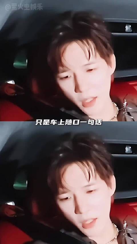 王安宇胡先煦同频的默契!人生几何 能够得到知己!胡言乱宇