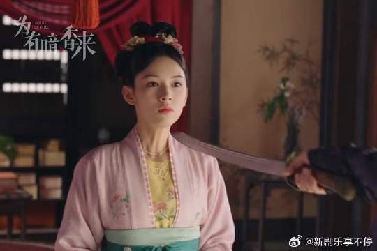 为有暗香来终究错付