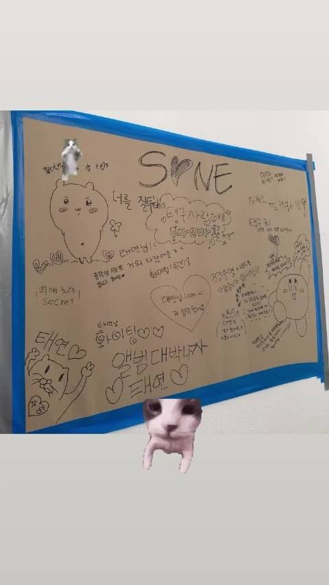 snsd金泰妍 261014 泰妍INS Story更新一则