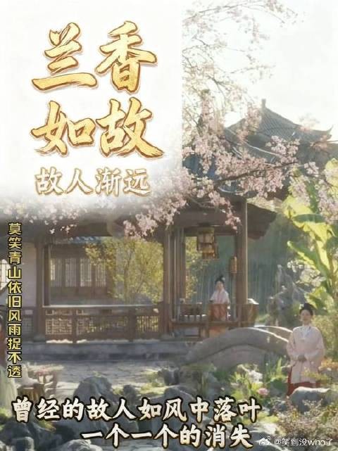 兰香如故大结局,兰香离开的时候有想念林锦岐吗