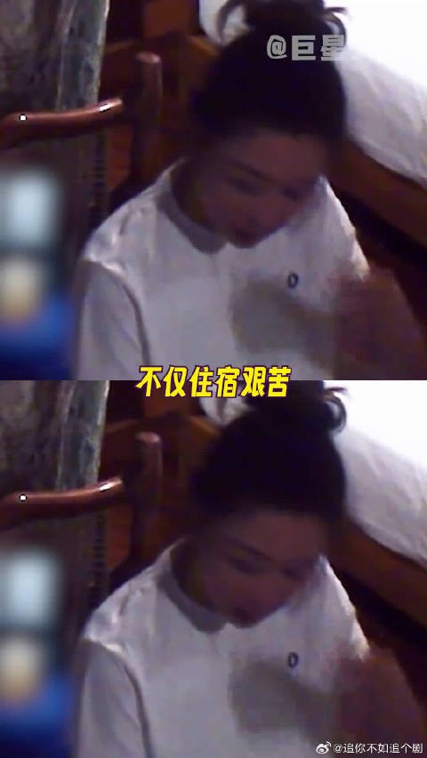 这哪是女生寝室,明明是雨林树蛙的临时集体宿舍