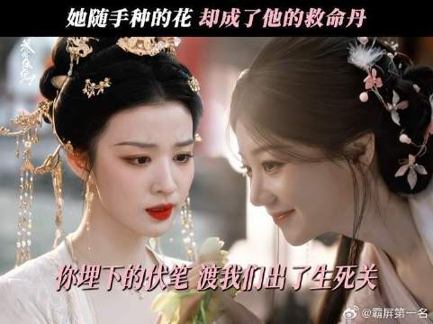 你随手种下的因,却成为了最重要的果