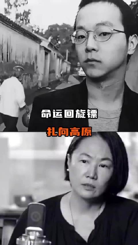 王菲高原微博互动,转发窦唯歌曲引感慨