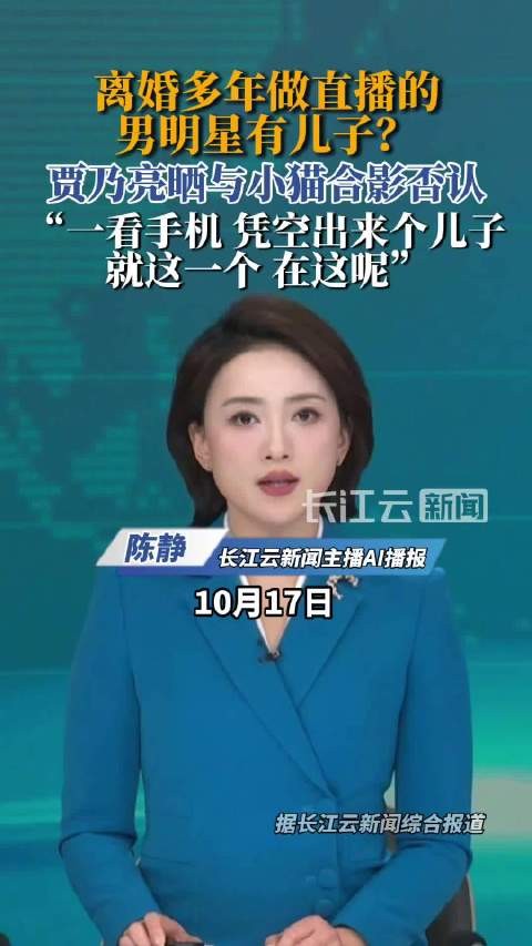 贾乃亮否认有儿子