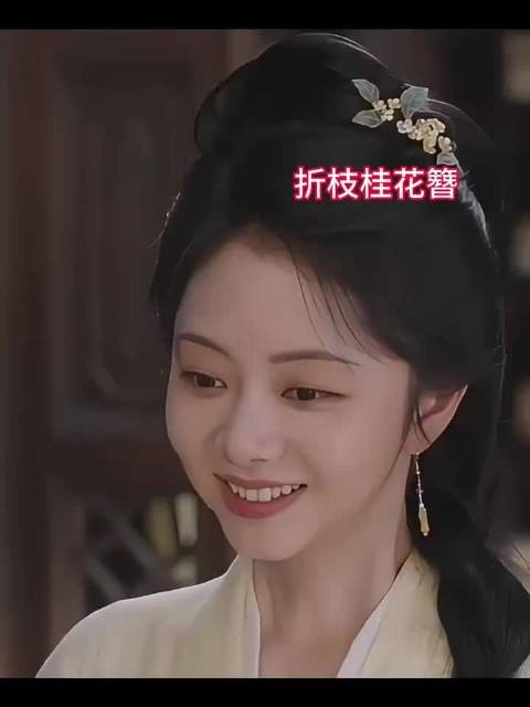 兰香如故中许兰香脱了奴籍离开林家时戴的发簪是一枝折枝桂花