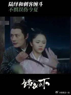 陆绎和刺客缠斗 不慎误伤今夏,这下糟了