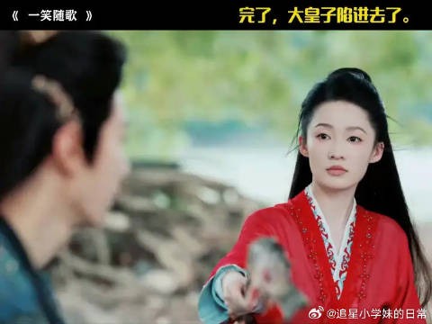完了，大皇子陷进去了