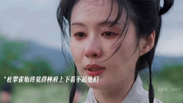 杜翠雀被发配琼州怨林锦岐不纳妾,多年后成海匪头子归来复仇