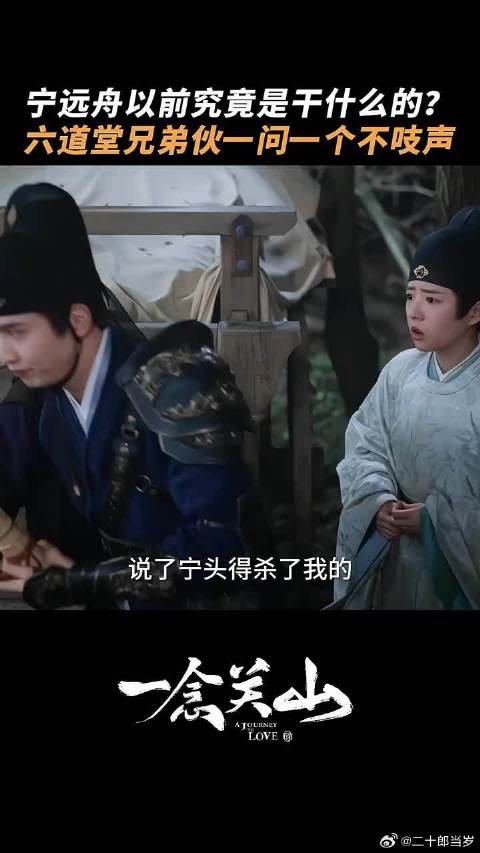 所以宁远舟以前的职业究竟是？