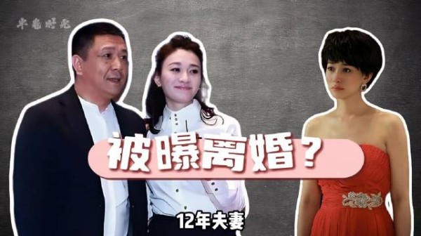 李小冉徐佳宁离婚 十六年婚姻画上句号