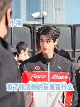 惹到张凌赫的后果是什么
