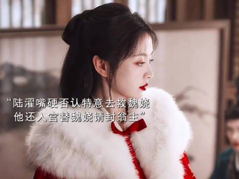 陆濯对魏娆生理性喜欢,目光藏好感