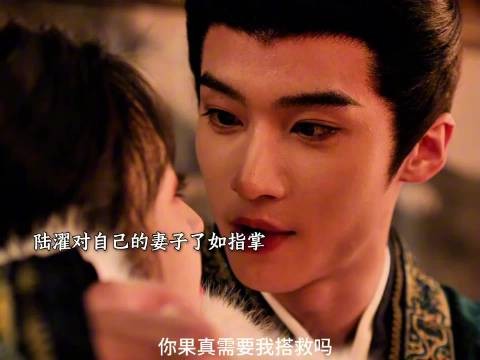 陆濯拆穿魏娆算计入宫请旨相护