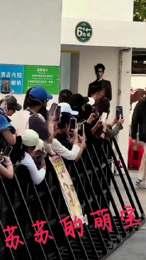 东张西望的小宝贝!