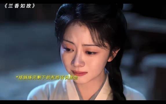 灰烬寄托思念落雪回应思念,陆先生与幸存者兰香如故