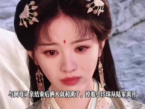 魏娆认亲结束即和离,泪别陆家缘分散场