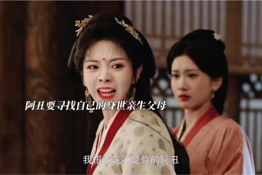 真正的阿丑已经在那天晚上冻死了,自己只是母亲捡来的