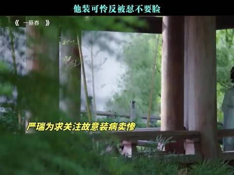 他装可怜反被怼不要脸