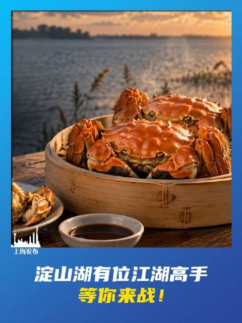 淀山湖有位江湖高手,等你来战!