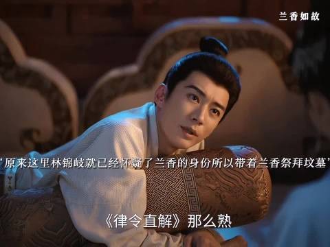 林锦岐疑兰香通律令，携其查看沈家坟