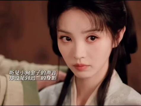 嫁金钗魏娆又一侍女迟兰被害,碧桃走后阴影未散