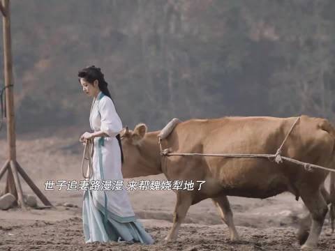 柿子开启厚脸皮追妻之路,全家助攻世子再求娶魏娆 /嫁金钗 田曦薇 闫桉