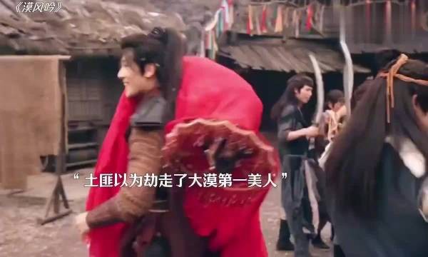 “大漠狂徒劫走和亲公主，竟阴差阳错成了公主的男人”