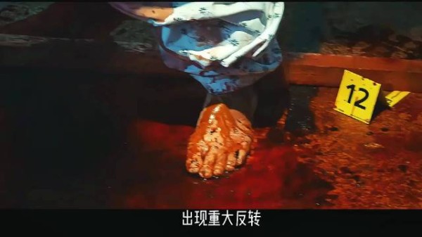 双胞胎制造不在场证明十年谋划真相大白