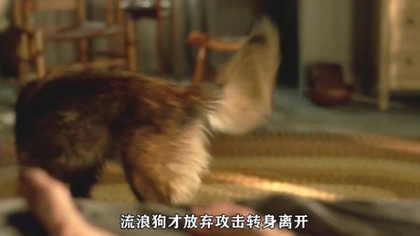 别墅度假遭铐床头,贝拉砸杯划掌血脱手铐自救