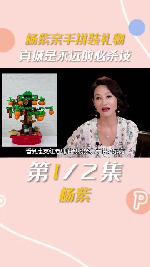 杨紫微博之夜送乐高柿子树 惠英红抽中寓意事事如意