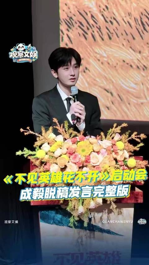 存档，不见英雄花不开研讨会成毅发言