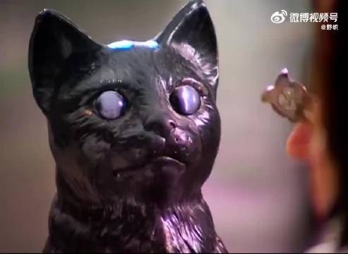 “这胖子没感觉到猫的重量吗?”