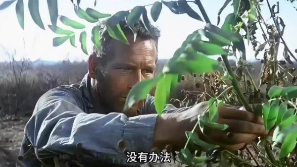 用绳子系树枝借斧头断镣铐 尼克撒胡椒粉越狱戏耍狱警